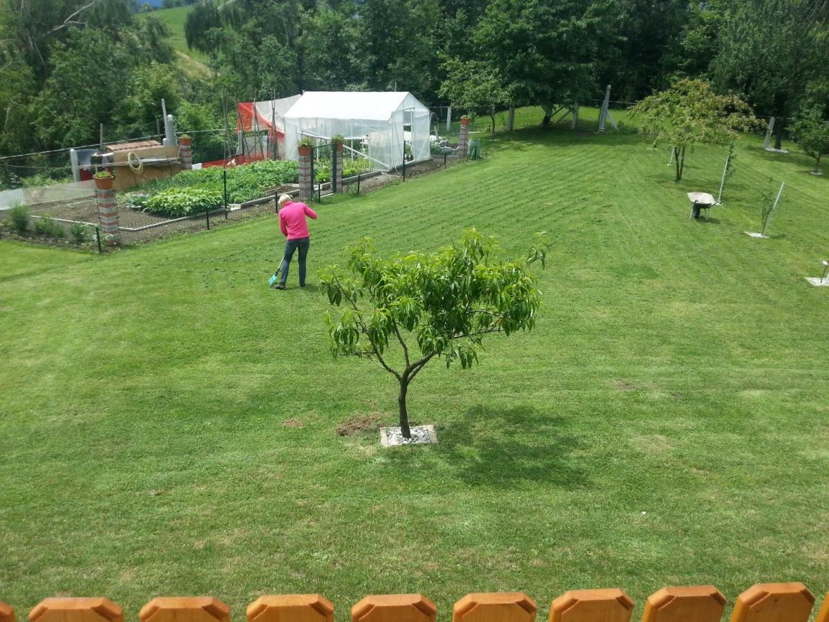 Sostanj Velenje Ravne Sobe Rooms Vrtacnik D O O Екстериор снимка