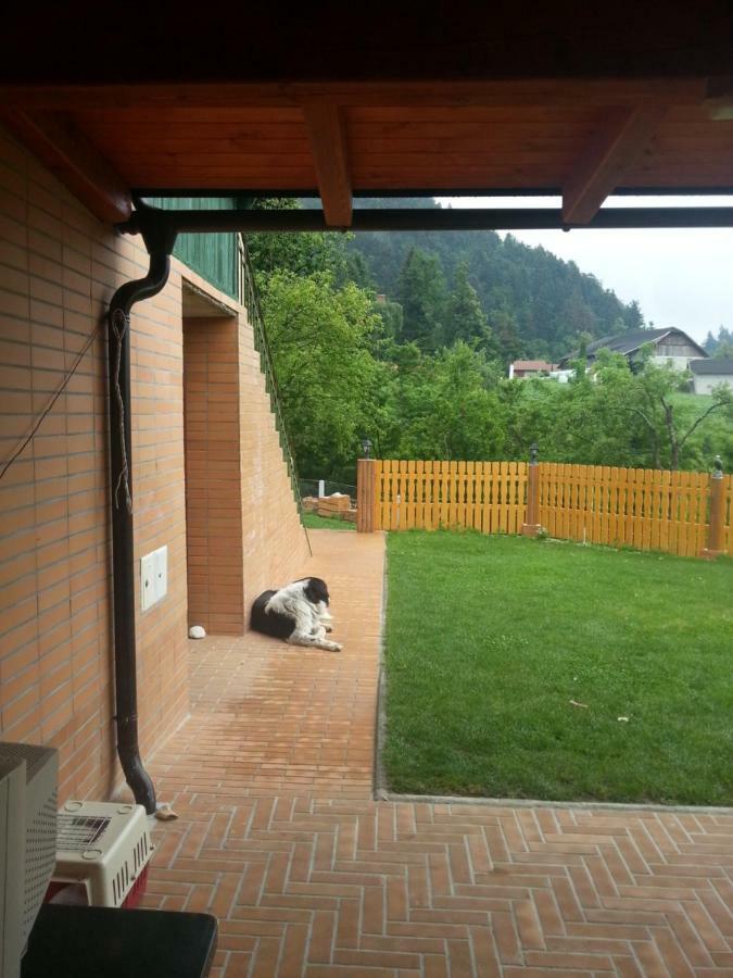 Sostanj Velenje Ravne Sobe Rooms Vrtacnik D O O Екстериор снимка