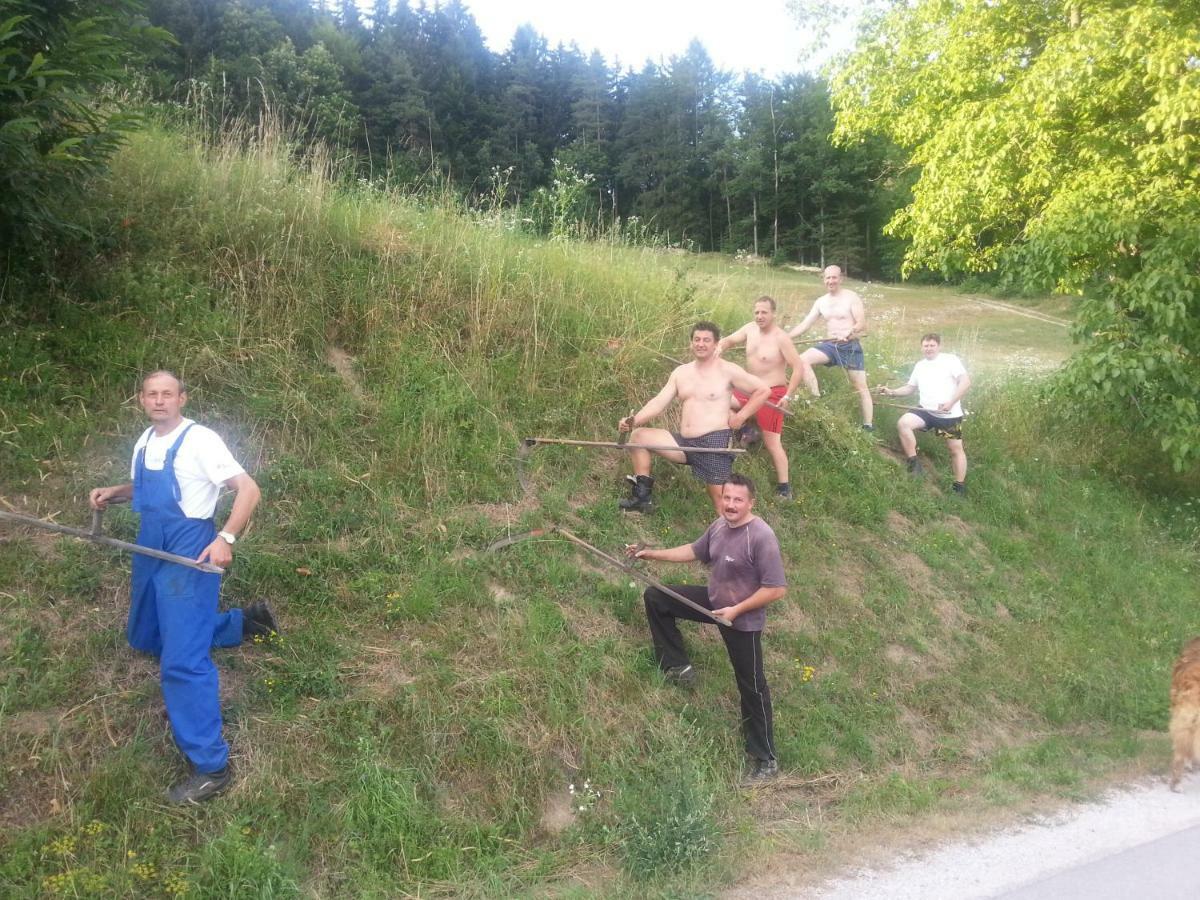 Sostanj Velenje Ravne Sobe Rooms Vrtacnik D O O Екстериор снимка